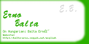 erno balta business card